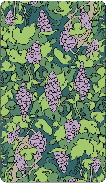Florana Tarot | Таро Флорана 89179 фото