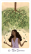 Harmony Tarot  | Таро Гармонии 89179 фото 2