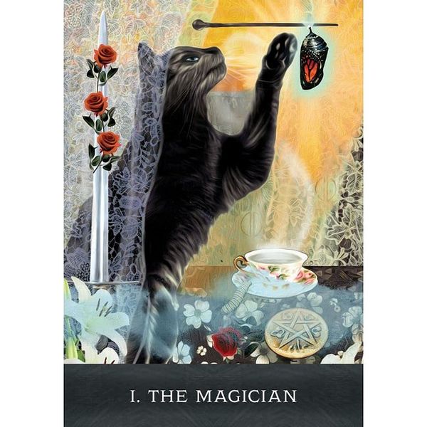 Grimalkin's Curious Cats Tarot | Таро Любопытных Кошек Грималкина 132183 фото