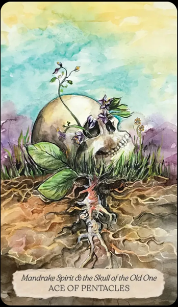 Bonestone & Earthflesh Tarot: The Reawakening | Таро Костекамня и Землеплоти: пробуждение 10849 фото