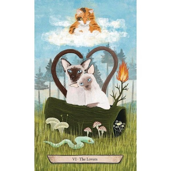 Enchanted Forest Felines Tarot | Таро Зачарованих Лісових Котів 16044 фото