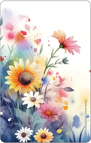 Summer Serenade Lenormand | Ленорман Летняя Серенада 10849 фото