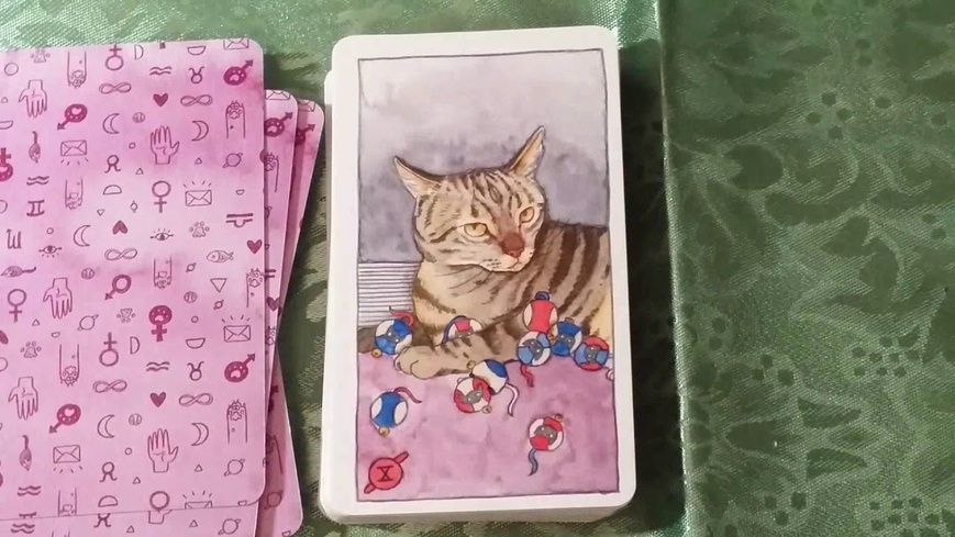 Таро Котів | Cat Tarot (у жерстяній коробочці, з оранжевим зрізом) - УЦІНКА 109344 фото