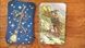 Everyday Witch Tarot | Таро Ведьма каждый день (уменьшенная) 36804 фото 3