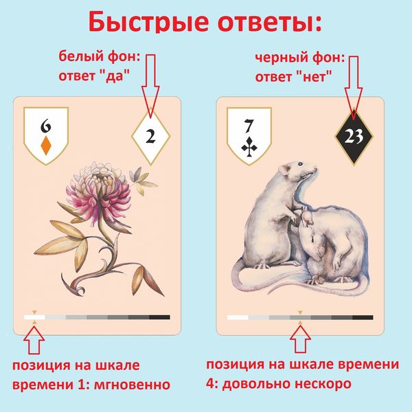 Elementary Lenormand | Елементарна Ленорман 54737 фото