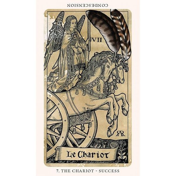 The Medieval Feathers Tarot | Таро Средньовічного Пір'я 10849 фото