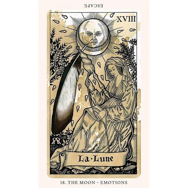 The Medieval Feathers Tarot | Таро Средньовічного Пір'я 10849 фото