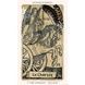 The Medieval Feathers Tarot | Таро Средньовічного Пір'я 10849 фото 3