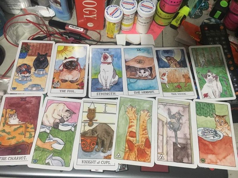 Таро Котів (зменшена) - уцінка 36943 фото