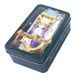 Animal Tarot | Таро Тварин (у жерстяній коробочці, із зеленим зрізом) - УЦІНКА 111996 фото 1