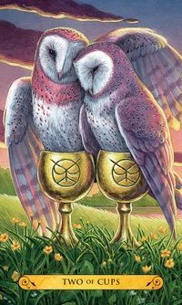 Tarot of the Owls | Таро Сов - уцінка 127650 фото