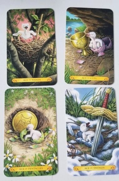 Tarot of the Owls | Таро Сов - уцінка 127650 фото