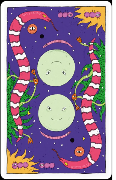 Whimsical Witch Tarot | Таро Чудернацької Відьми (у жерстяній коробочці) 97176 фото
