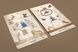 Manuscript of Initiation Tarot | Таро Рукописи Посвящений 68549 фото 5