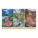 Burton's Wonderland Tarot | Таро Страны Чудес Бертона 132353 фото 6