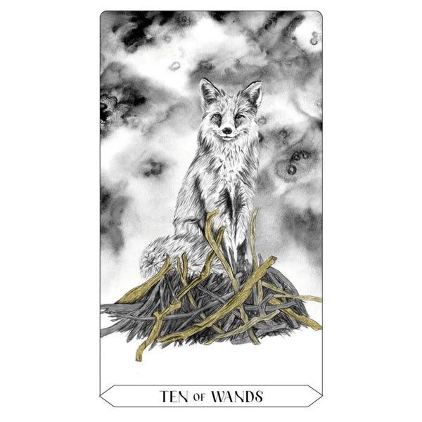 Lumina Tarot | Таро Люмины 81132 фото