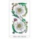 Lumina Tarot | Таро Люмины 81132 фото 8