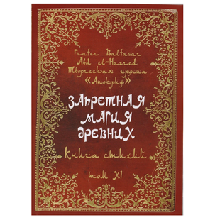 Ф.Балтазар Заборонена магія давніх. Том 11. Книга Стихій mag11 фото