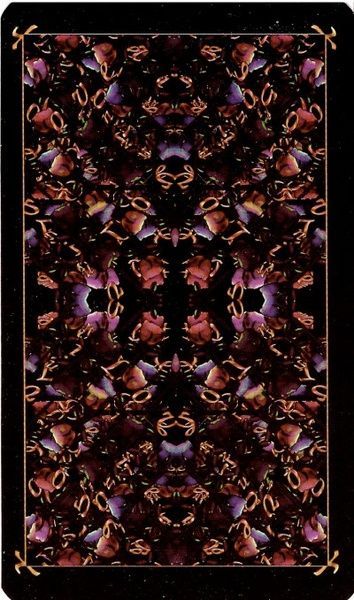 Tarot Deck of Heroes | Таро Героїв - уцінка 31481 фото