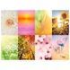 The Flower of Life: Wisdom of Astar | Оракул Цветок жизни 9632 фото 3