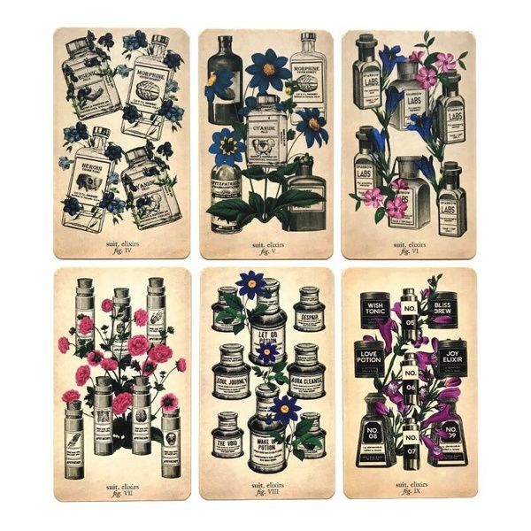 Antique Anatomy Tarot | Таро Античної Анатомії (в жерстяній коробочці, із золотим зрізом) - уцінка 130265 фото