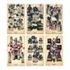 Antique Anatomy Tarot | Таро Античної Анатомії (в жерстяній коробочці, із золотим зрізом) - уцінка 130265 фото 4