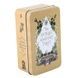 Antique Anatomy Tarot | Таро Античної Анатомії (в жерстяній коробочці, із золотим зрізом) - уцінка 130265 фото 1