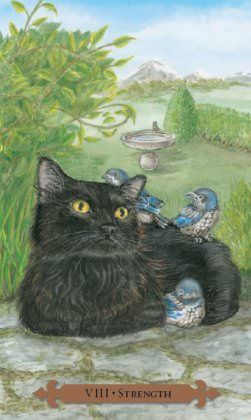 Mystical Cats Tarot | Таро Мистических Кошек 15990 фото