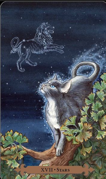 Mystical Cats Tarot | Таро Мистических Кошек 15990 фото