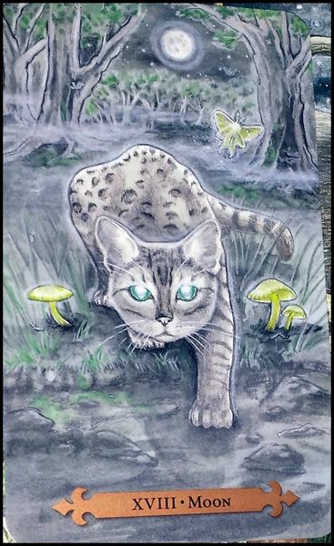 Mystical Cats Tarot | Таро Мистических Кошек 15990 фото