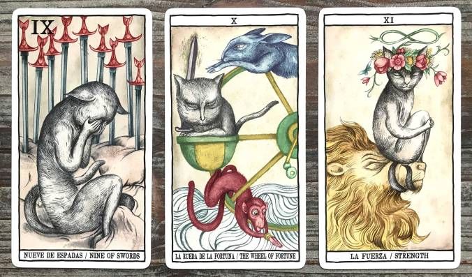 Tarot Cats | Таро Кошек 64460 фото