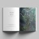 P.Barbieri - Night Fairies | Нічні Феї (книга-альбом) a09000007555 фото 3