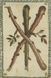 Traditional Italian Fortune Cards | Традиционные итальянские гадальные карты 99129 фото 3