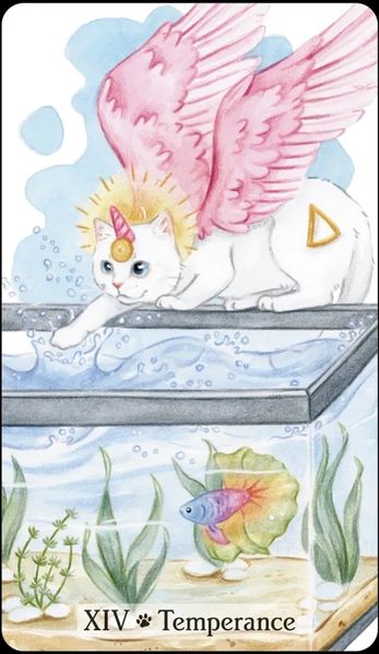 Caticorn Tarot | Таро Катікорн (Кото-Єдинорога) k000003 фото