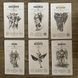 Angel Tarot (Travis McHenry) | Таро Ангелов в жестяной коробочке 81158 фото 3