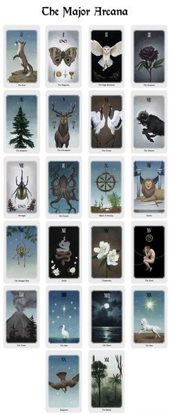 Anima Mundi Tarot | Таро Души Мира 50493 фото