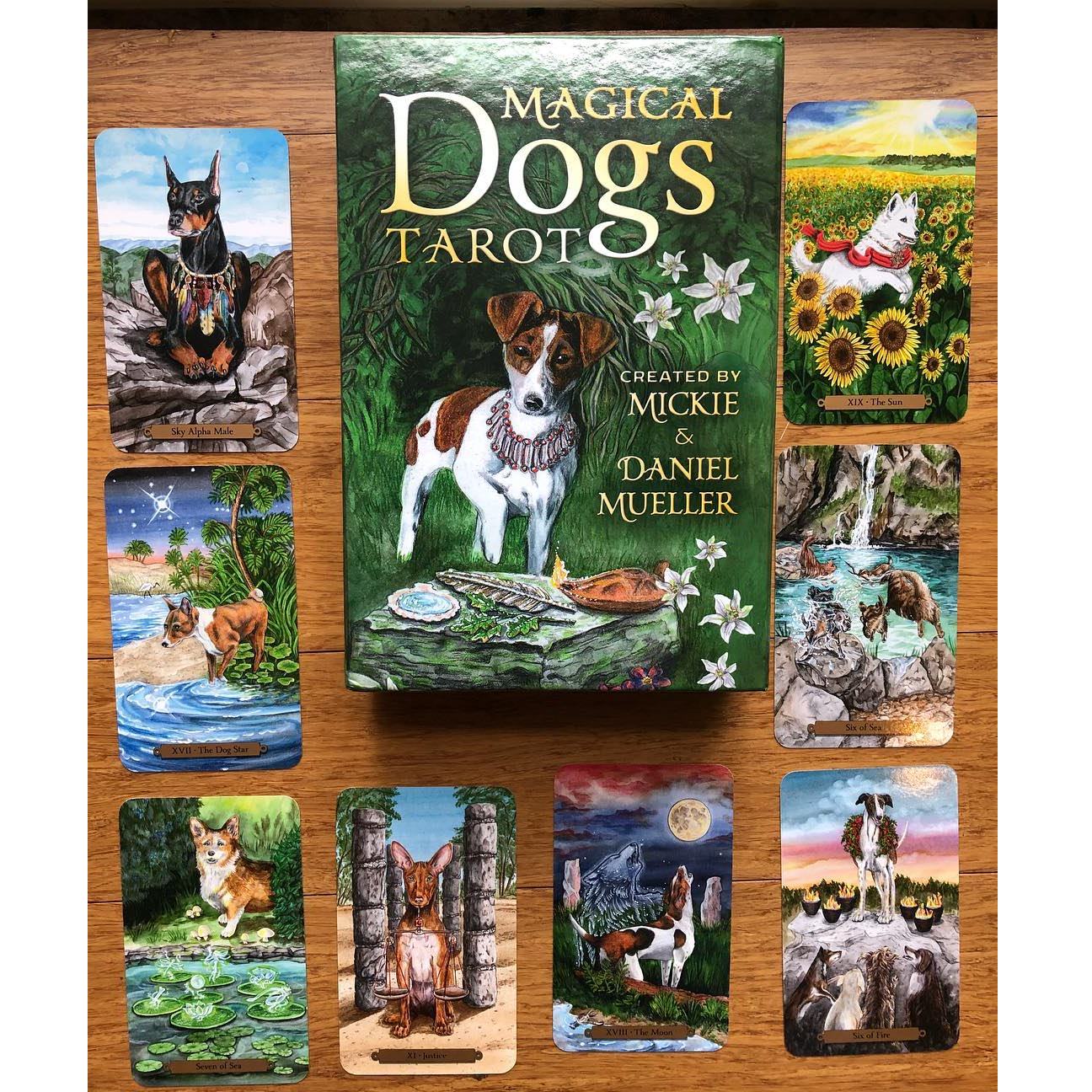 Magical Dogs Tarot  | Таро Волшебных Собак